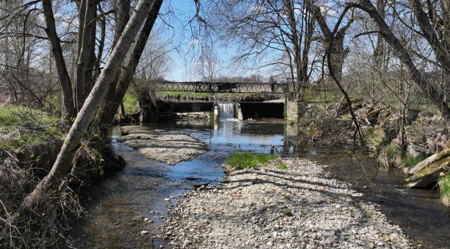 Link zur Seite FREIFLISEN