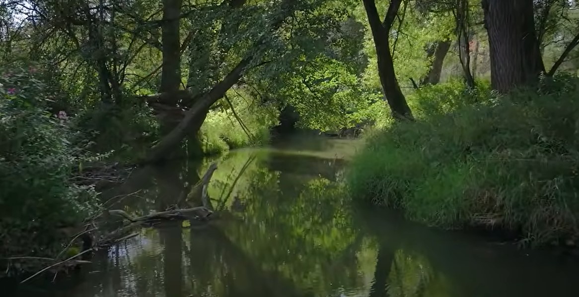 Das Bild zeigt einen naturnahen Abschnitt der Isen im Halbschatten