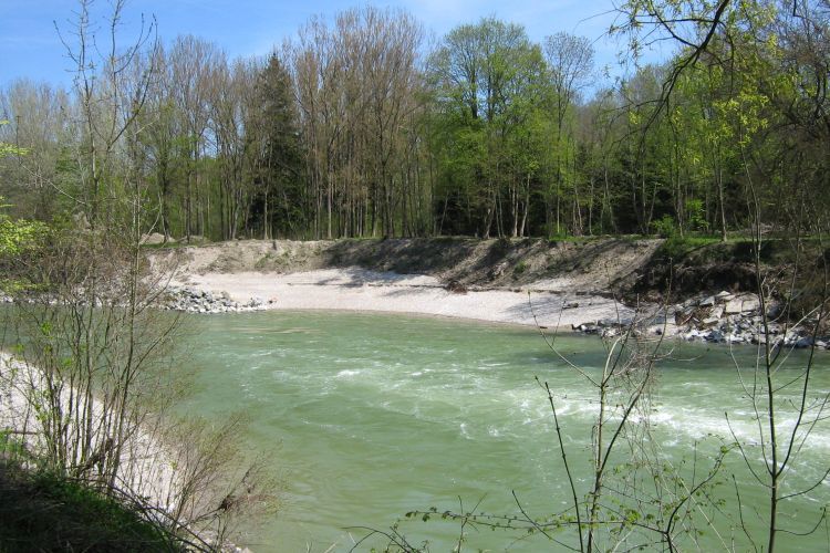 Uferanbruch bei Achering Uferanbruch bei Achering