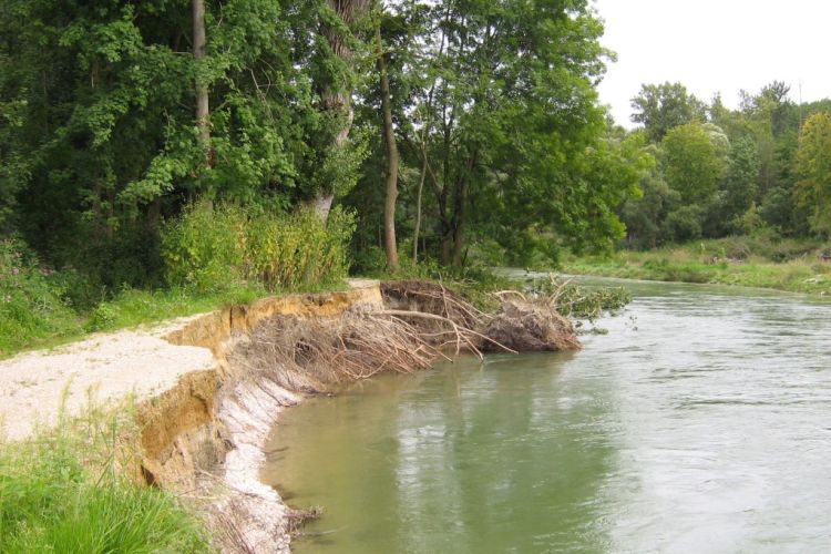 Uferanbruch bei Flusskilometer 99.8 Uferanbruch bei Flusskilometer 99.8