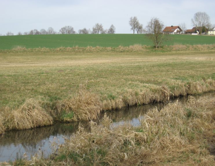 Die Glonn bei Egenhofen vor der Verlegungsmaßnahme Die Glonn bei Egenhofen vor der Verlegung.