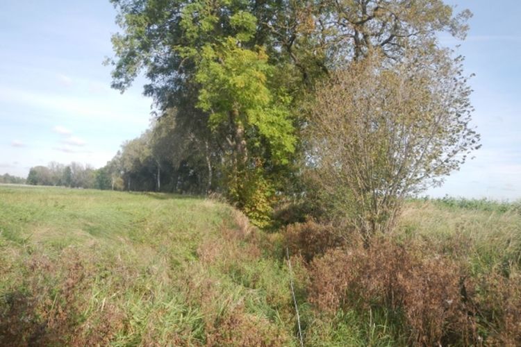 Trockengefallener Starzelbach bei Alling vor der Maßnahme